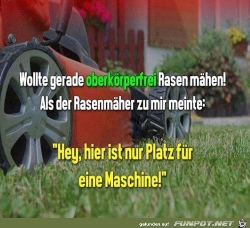 Der Rasenmher ist klasse