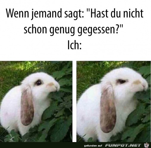 Genug gegessen