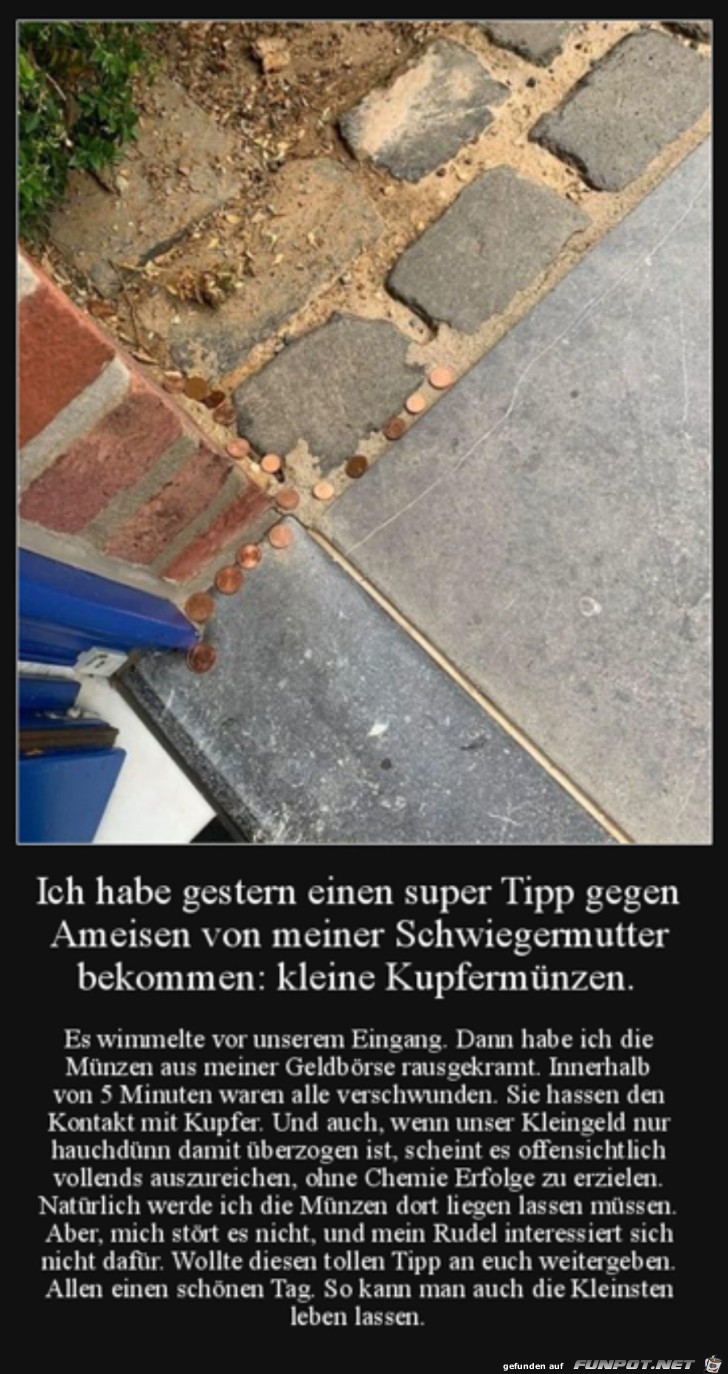 witziges Bild 'Guter Tipp' - tausende Bilder auf FUNPOT