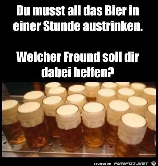 Bier Bier