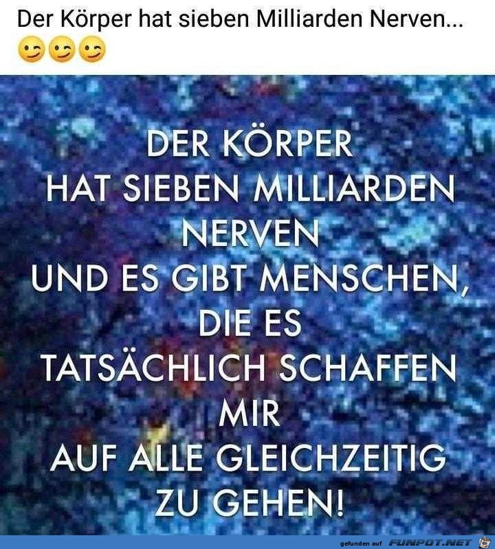 Der Körper Der Körper