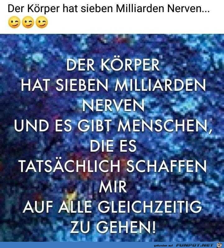 Der Krper