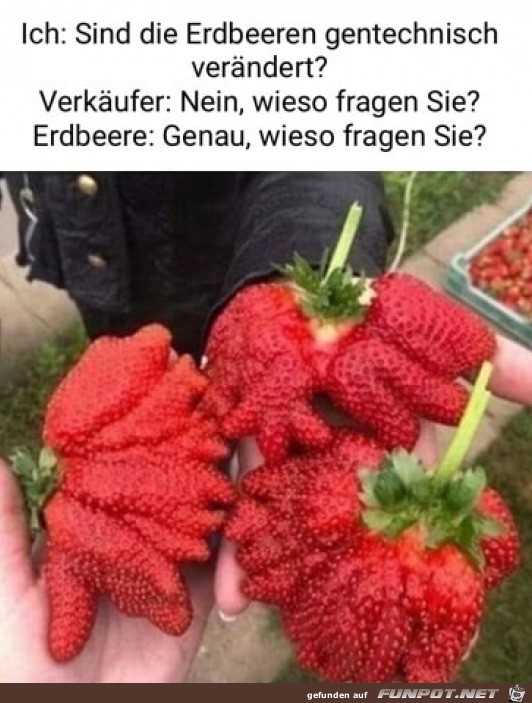 Lustige Erdbeeren