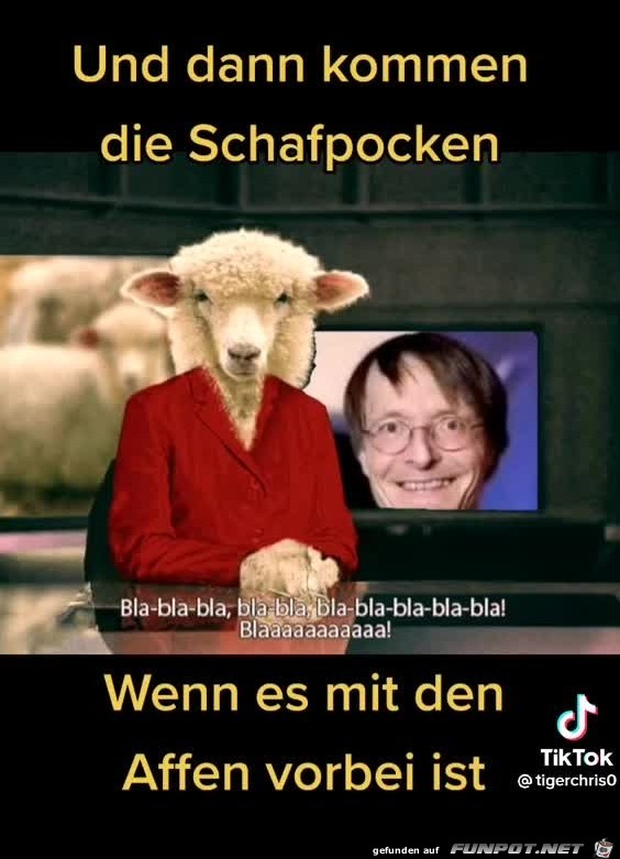 Schafpocken