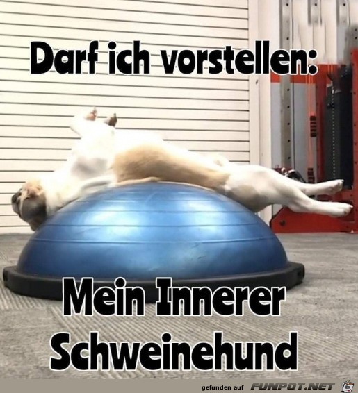 Mein innerer Schweinehund