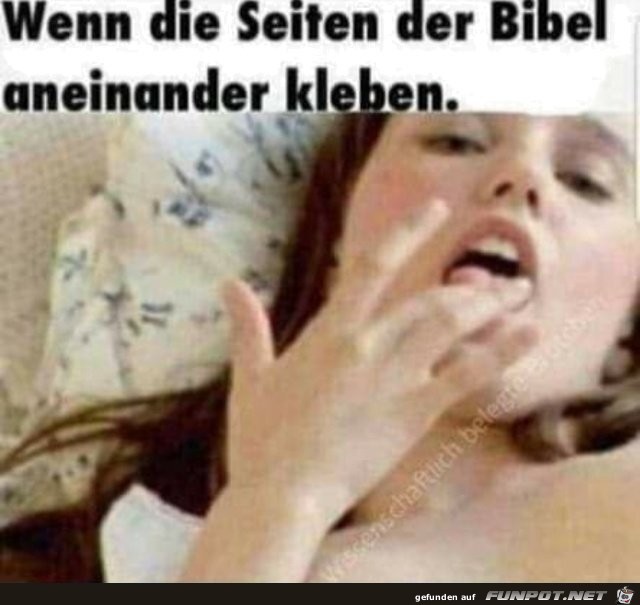 Seiten der Bibel