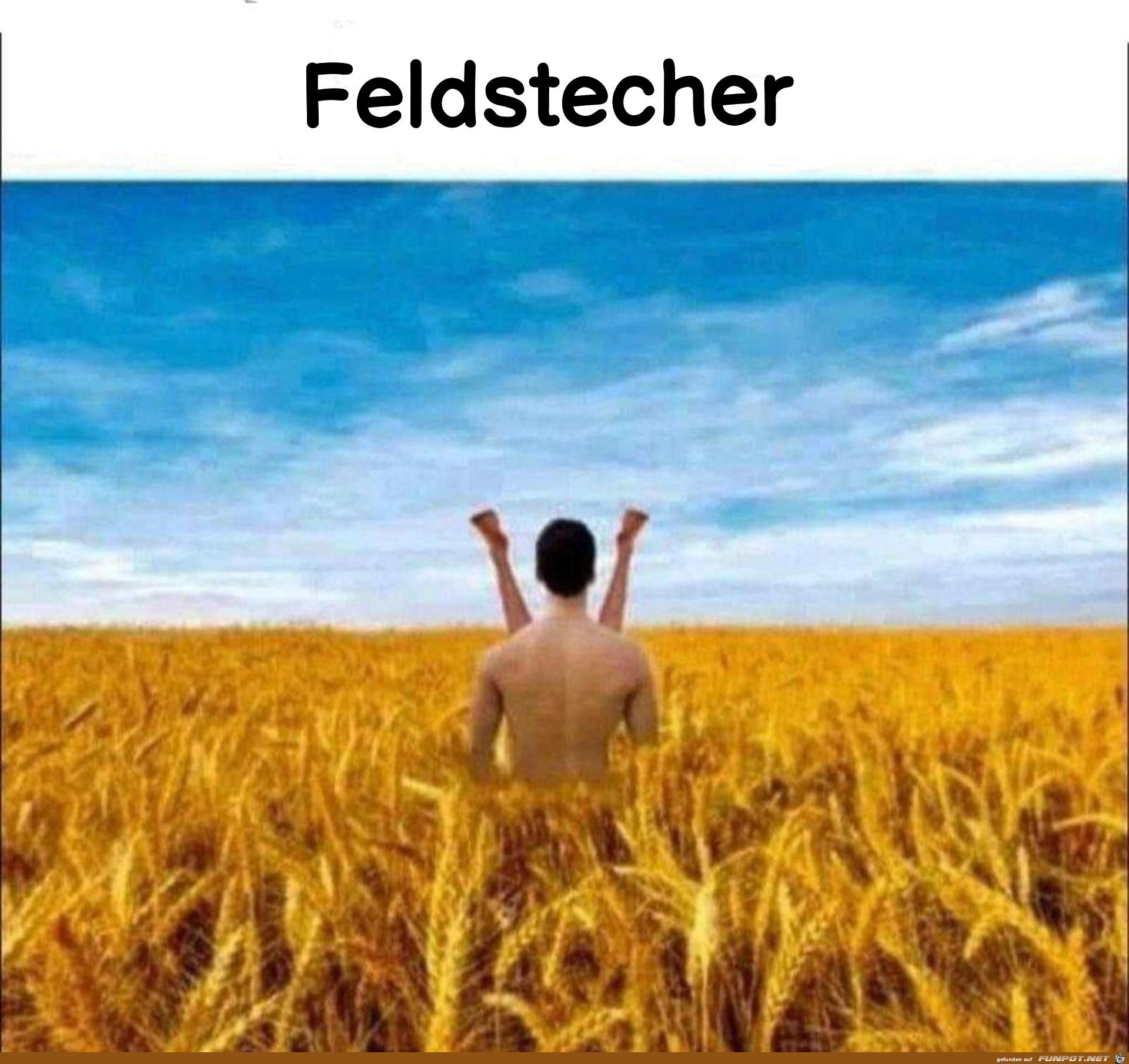 Feldstecher