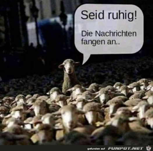 Alle mal ruhig sein