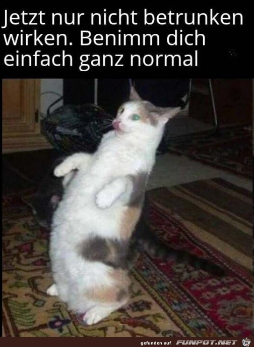 Benimm dich ganz normal