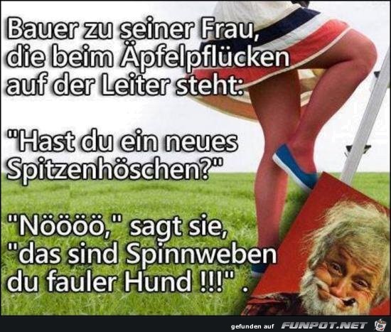 Bauer zu seiner Frau