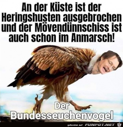 Der Seuchenvogel