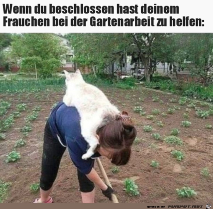 Katze ist auch dabei