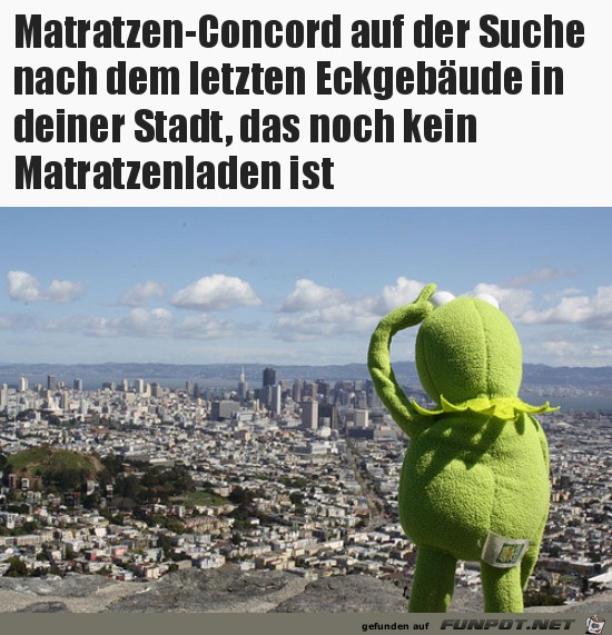 Immer auf der Suche