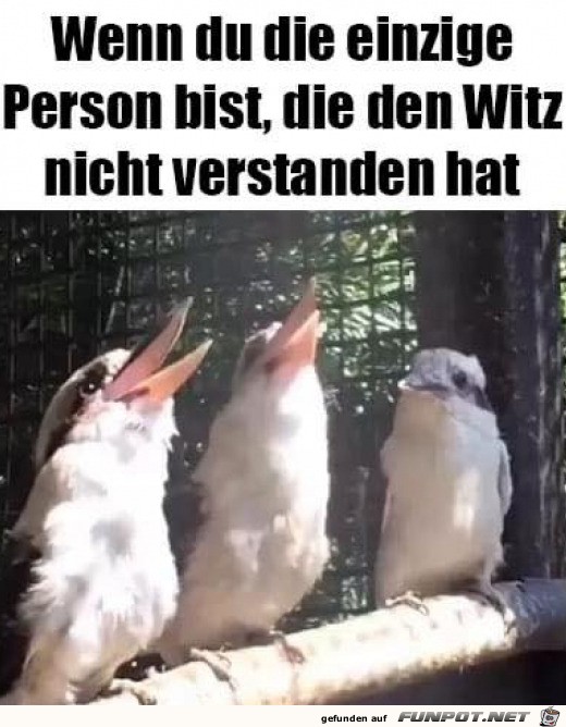 Witz nicht verstanden