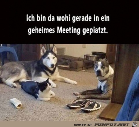 Geheimes Meeting