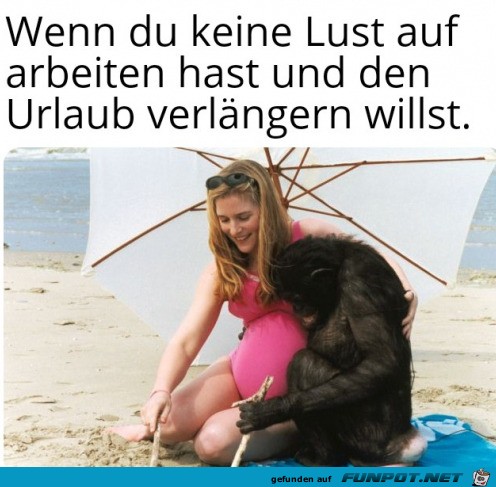 witzige Bilder aus verschiedenen Blogs