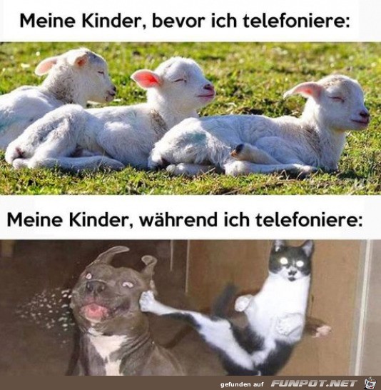 Typisch Kinder