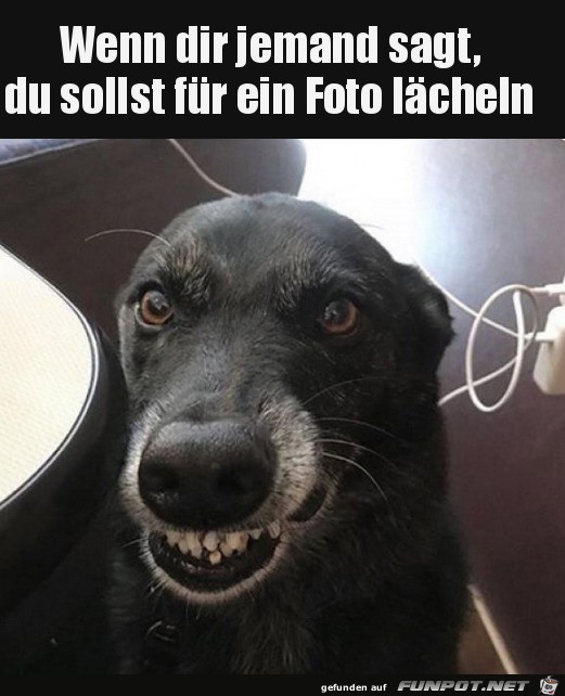 Fr ein Foto lcheln