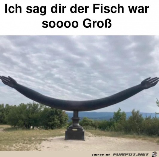 Ein riesiger Fisch