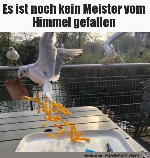 witzige Bilder aus verschiedenen Blogs