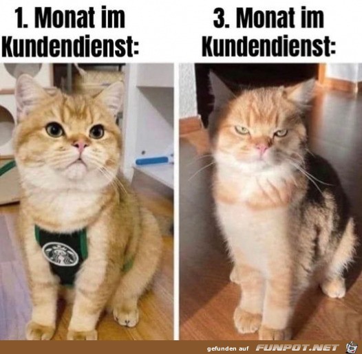 Im Kundendienst