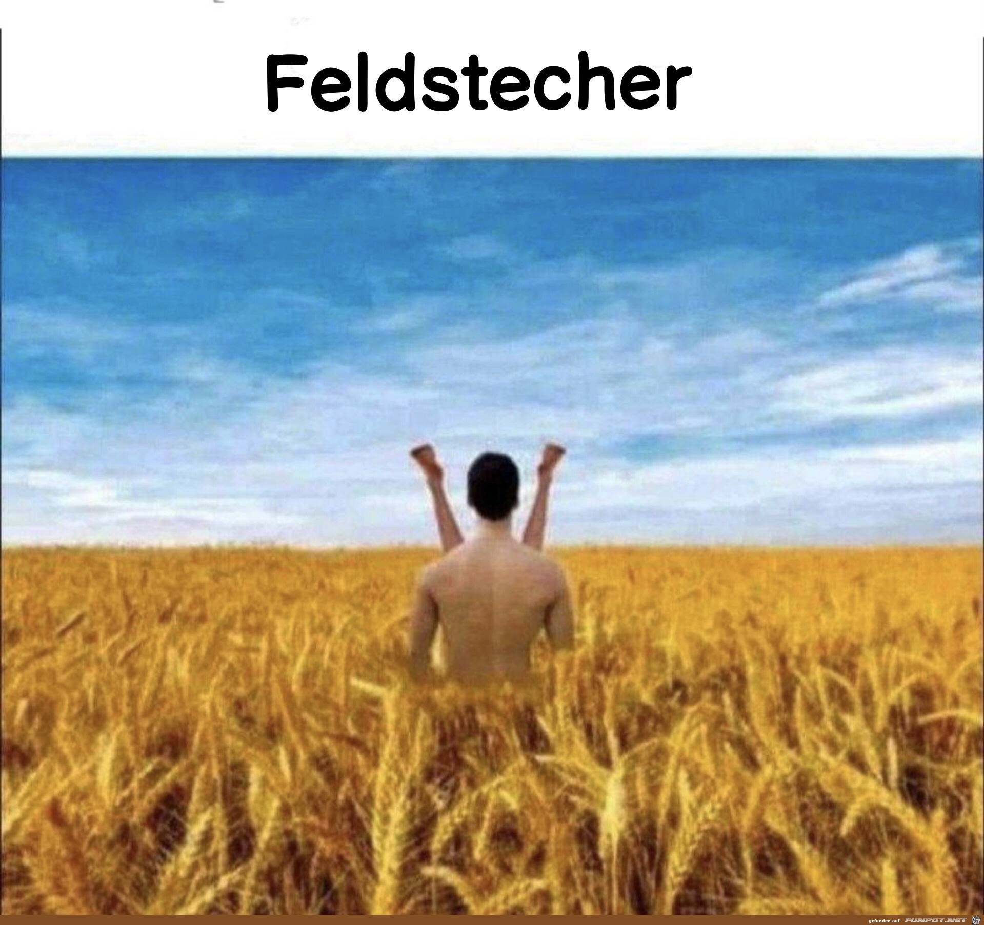 Feldstecher