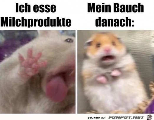 Mein Bauch