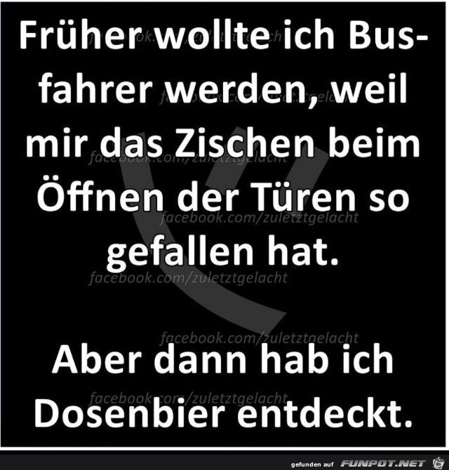 Busfahrer