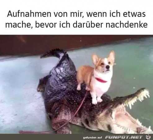 Keine gute Idee