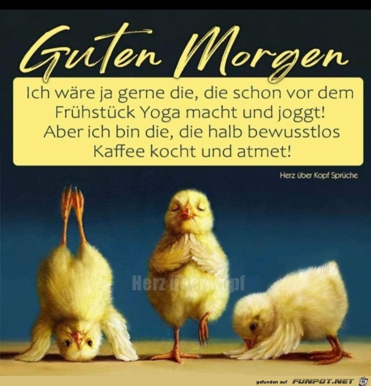 Guten Morgen