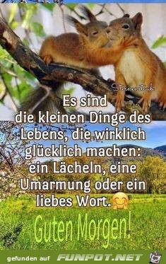 Es sind die kleinen Dinge