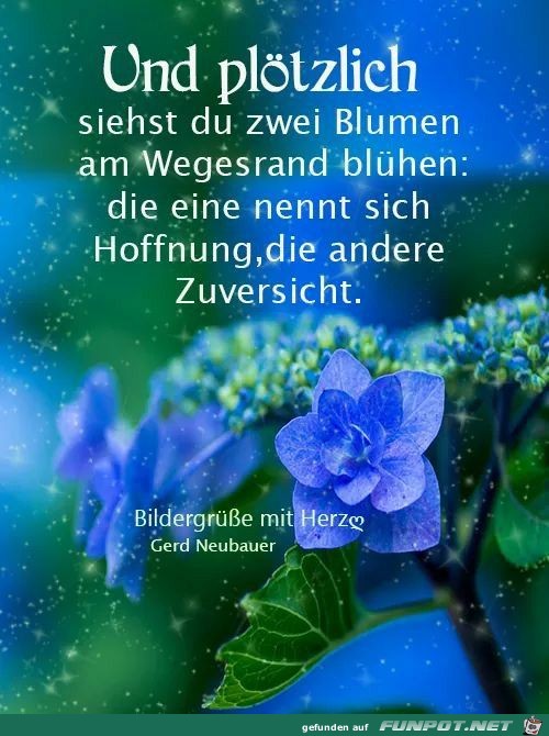 Und pltzlich siehst du zwei Blumen