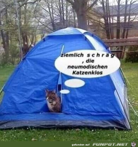 Komisches Katzenklo