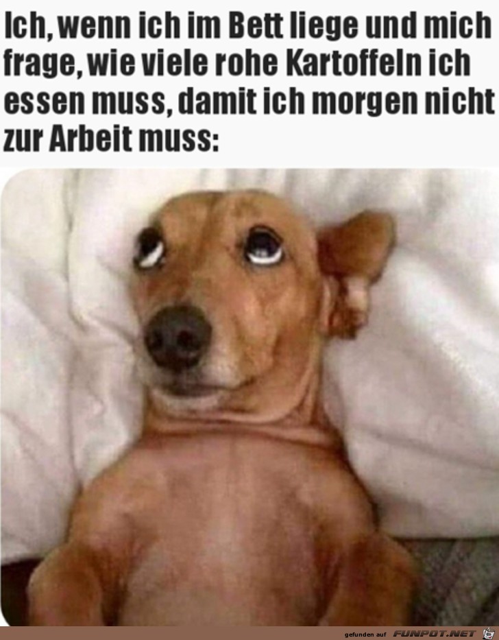 Denk gut nach