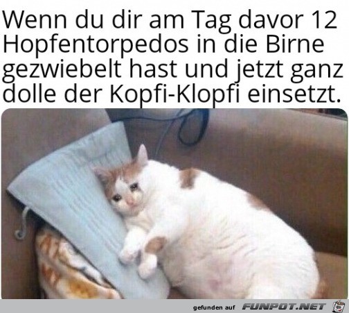 Zu viel getrunken