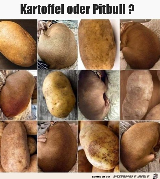 Schwer zu erkennen