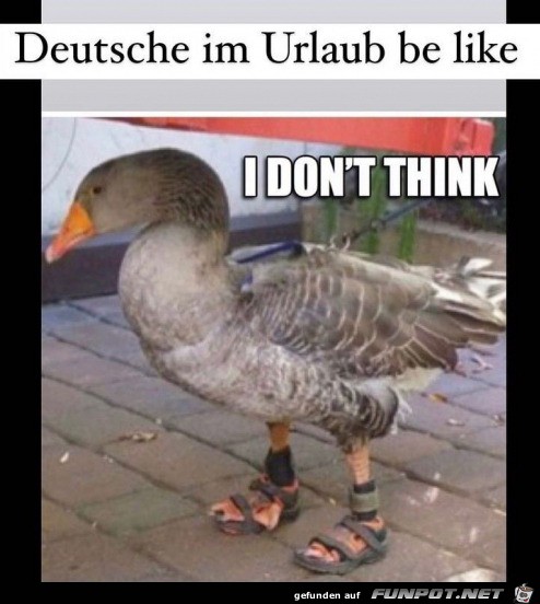 Deutsche im Urlaub