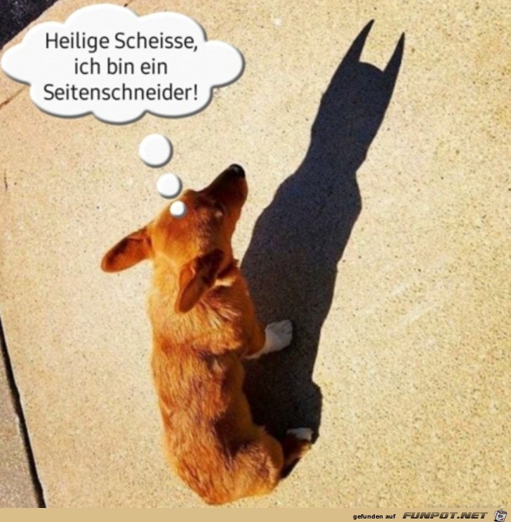 Toller Schatten