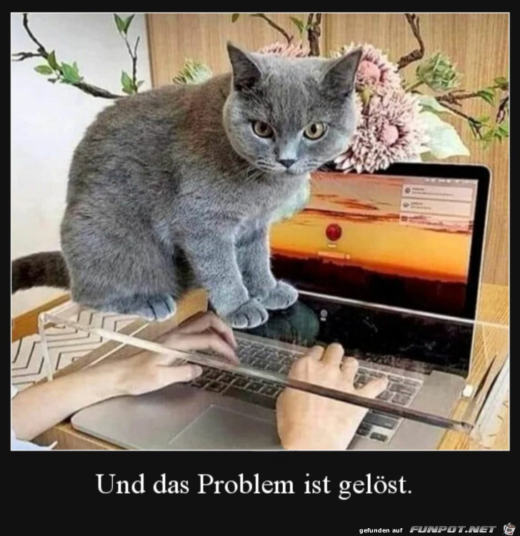 Problem gelst