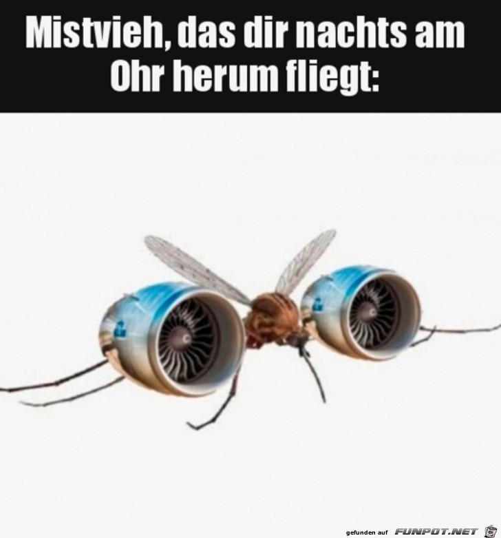 witzige Bilder aus verschiedenen Blogs