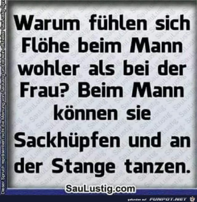 Flöhe Flöhe
