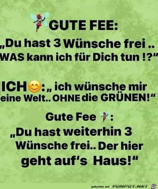 Die gute Fee