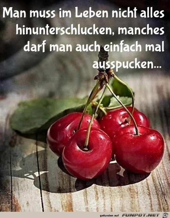 Man muss im Leben nicht alles hinunter schlucken