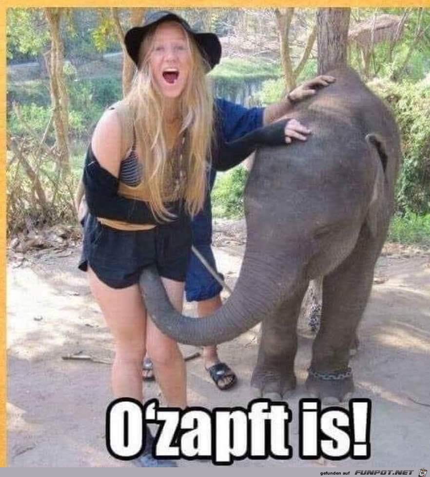 Ozapft is