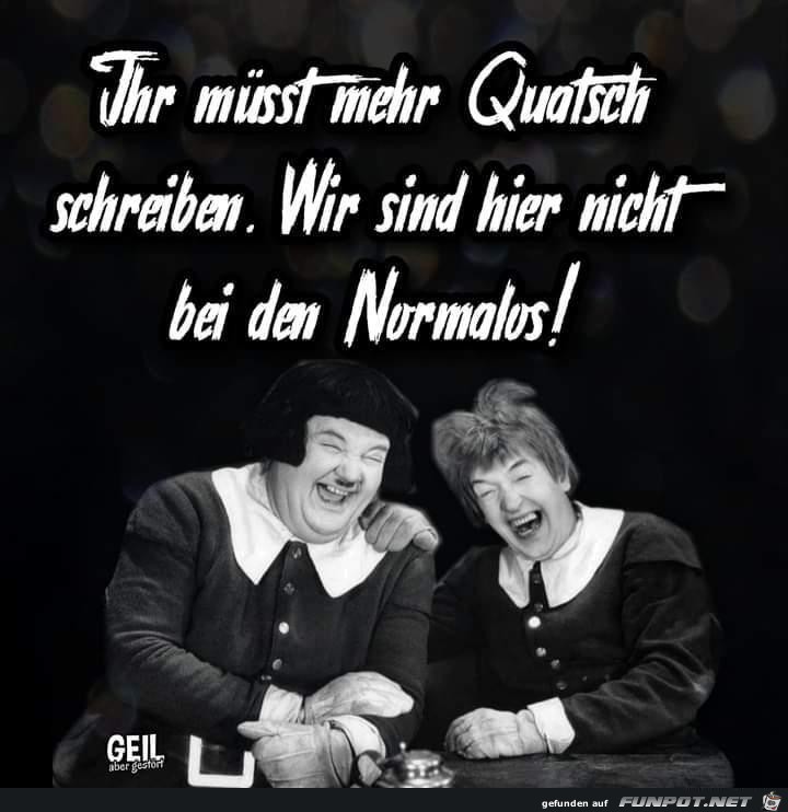 Mehr Quatsch