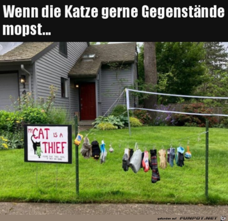 witzige Bilder aus verschiedenen Blogs