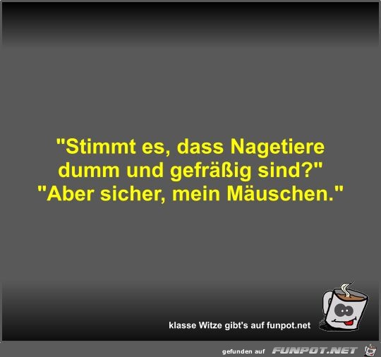 Stimmt es, dass Nagetiere dumm und gefrig sind?