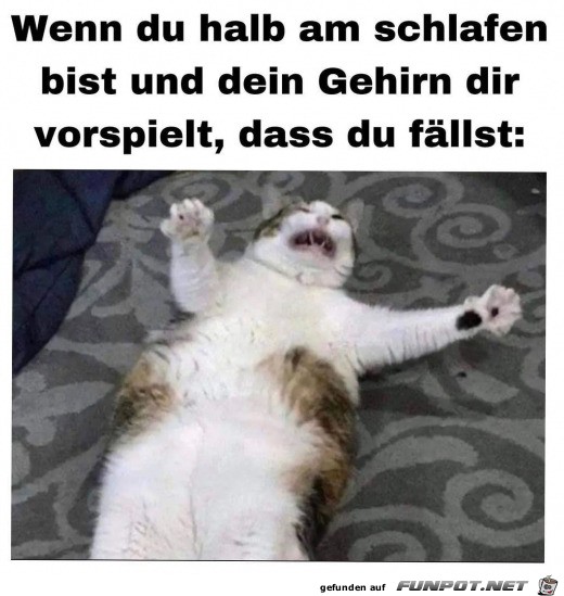 witzige Bilder aus verschiedenen Blogs