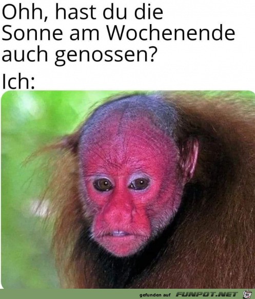 Die Sonne genossen