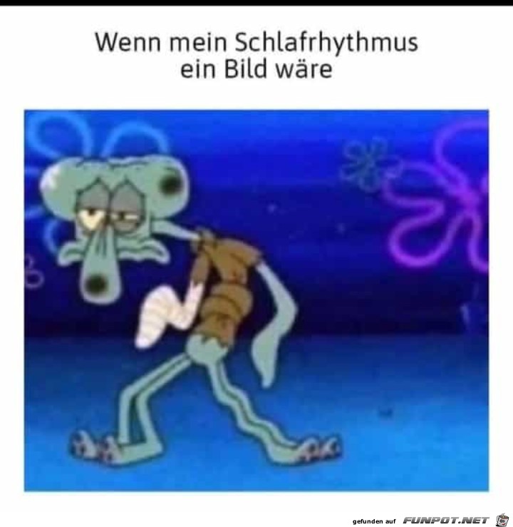 Schlafrhytmus